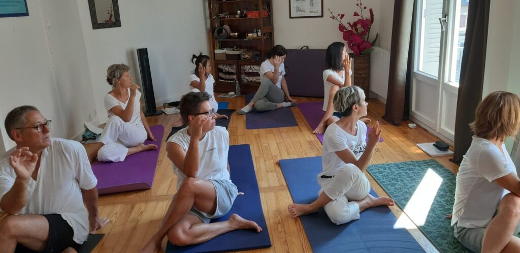 Cours de Yoga-Qi Gong à Grenoble (Connexion-Automne 2020)